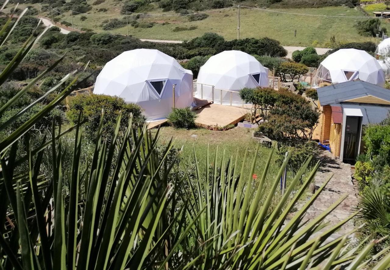 B&B Glamping Semaforo Capo Sperone SantʼAntìoco Dış mekan fotoğraf