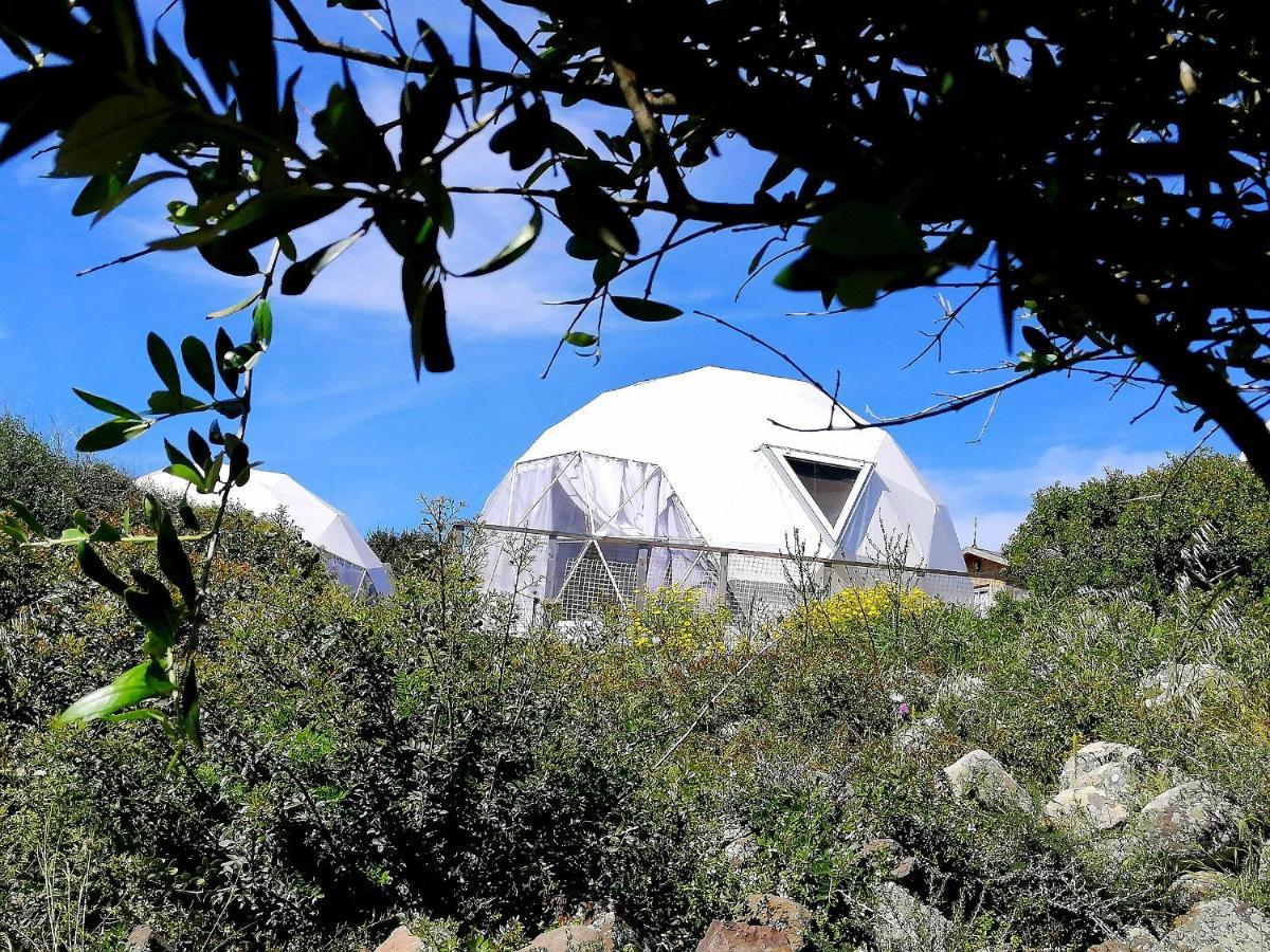 B&B Glamping Semaforo Capo Sperone SantʼAntìoco Dış mekan fotoğraf