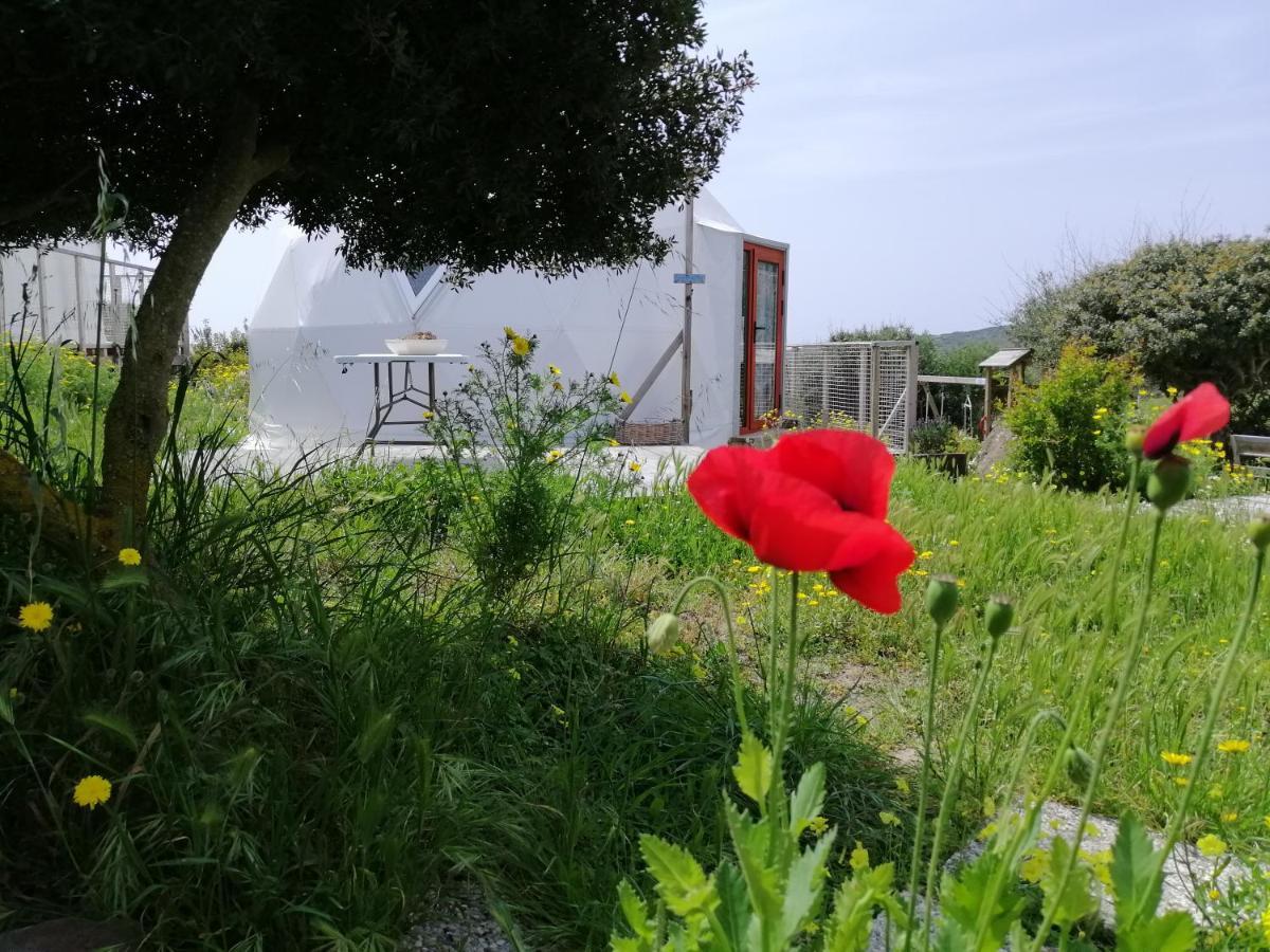 B&B Glamping Semaforo Capo Sperone SantʼAntìoco Dış mekan fotoğraf