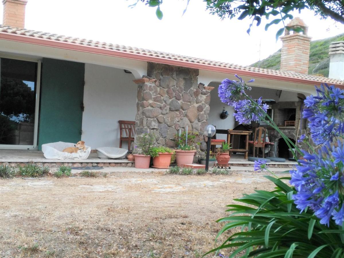 B&B Glamping Semaforo Capo Sperone SantʼAntìoco Dış mekan fotoğraf