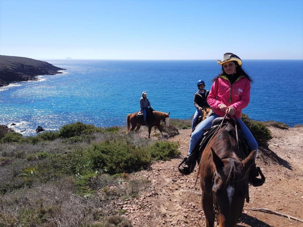 B&B Glamping Semaforo Capo Sperone SantʼAntìoco Dış mekan fotoğraf