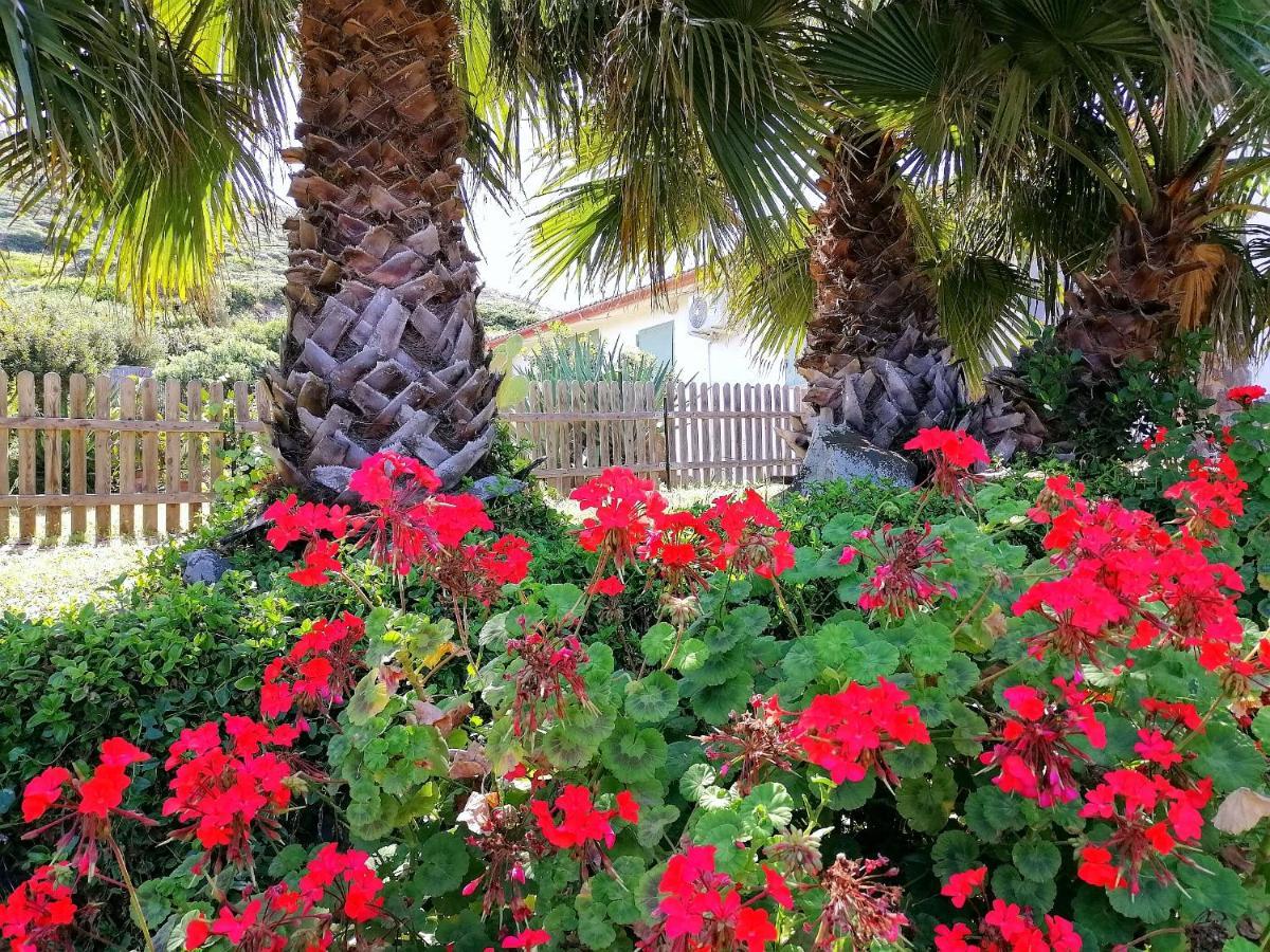 B&B Glamping Semaforo Capo Sperone SantʼAntìoco Dış mekan fotoğraf