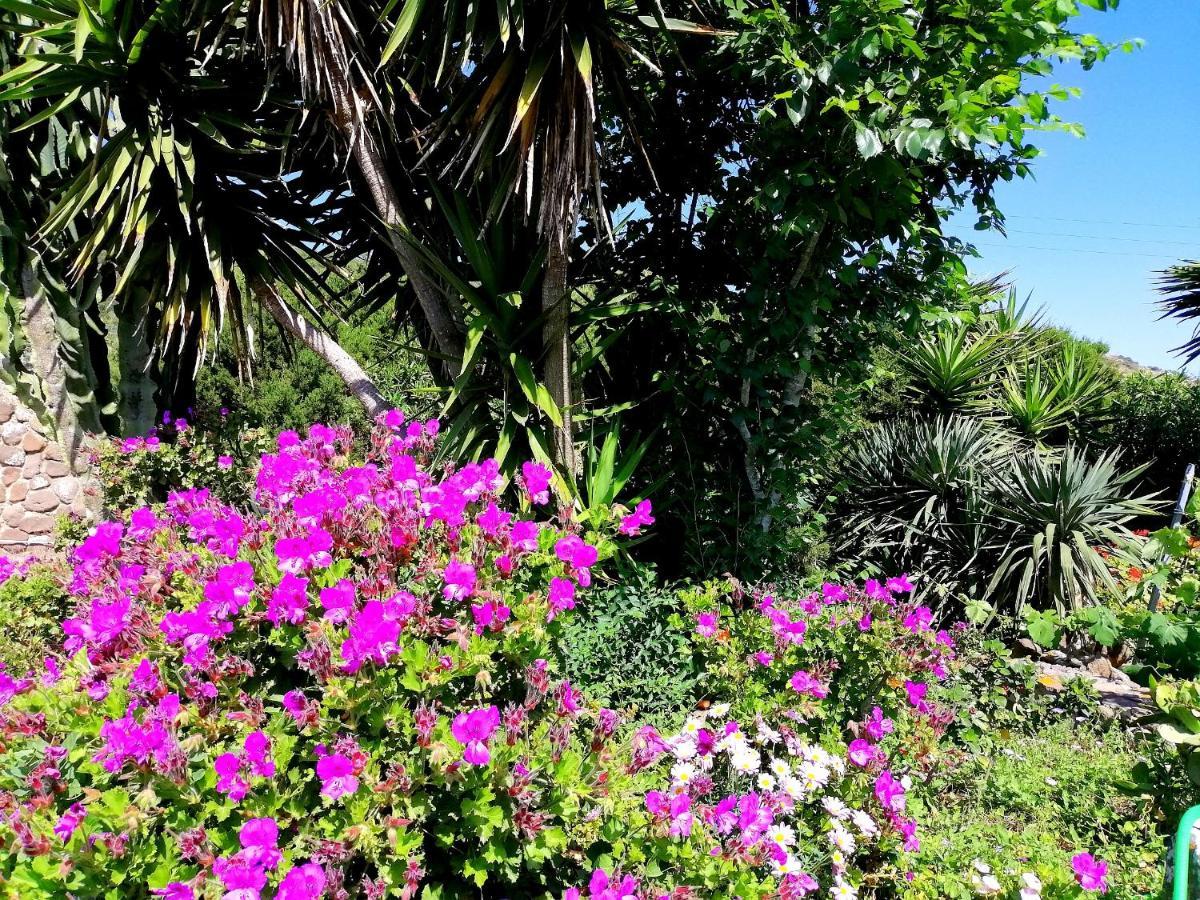 B&B Glamping Semaforo Capo Sperone SantʼAntìoco Dış mekan fotoğraf